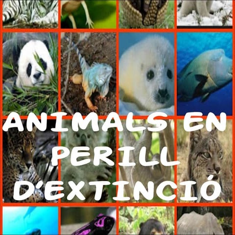 Animals perill extinció. | PPT