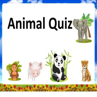 Animals quiz