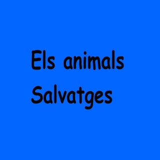 Animals salvatges
