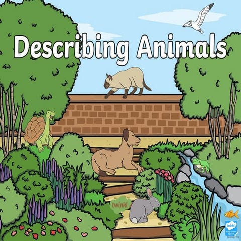 ANIMAL STRUCTURE PPT POWERPOINT PRESENTATION