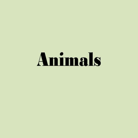 Animals unit complete