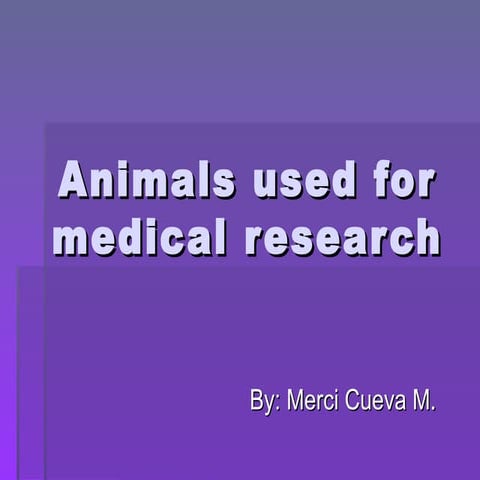 Animals Used For Medical Research