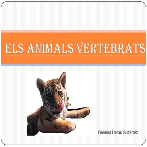 Els animals vertebrats