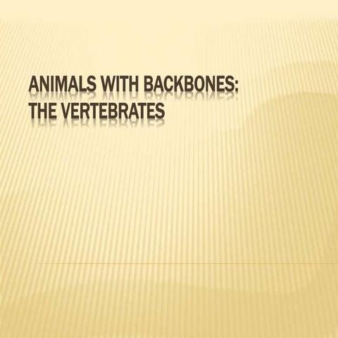 ANIMALS WITH BACKBONES.pptx
