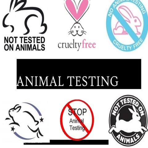 Animal testing | PPT