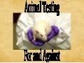 Stop Animal Testing