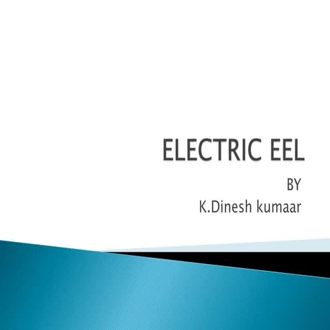 electric eel