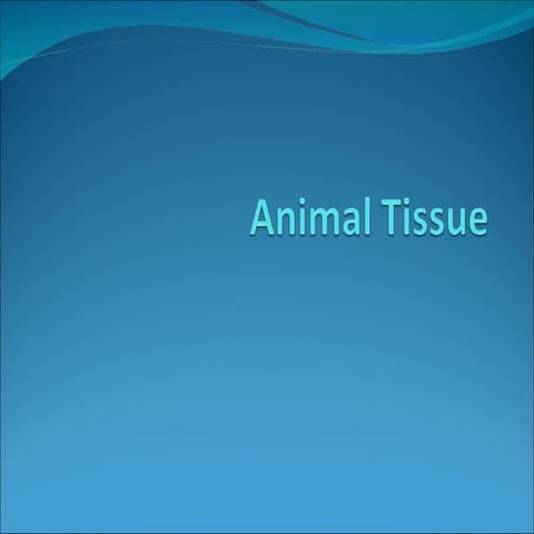 Animal tissue