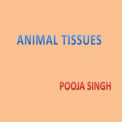 Animal tissue