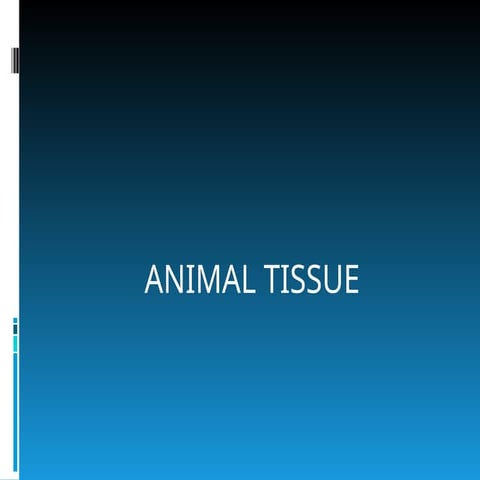 ANIMAL TISSUE powerpoint presentation for grade 7