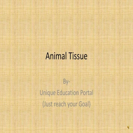 Animal tissue 
