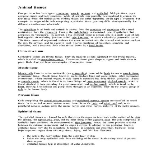 Animal tissues