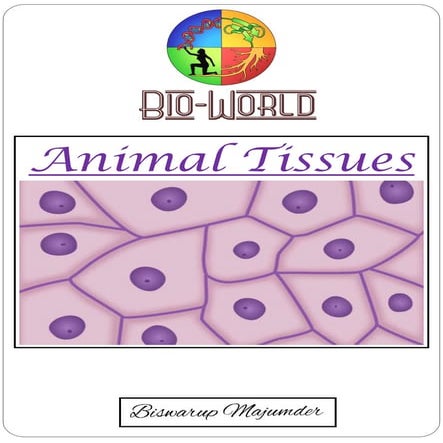 Animal Tissues