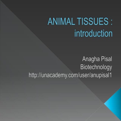 Animal tissues