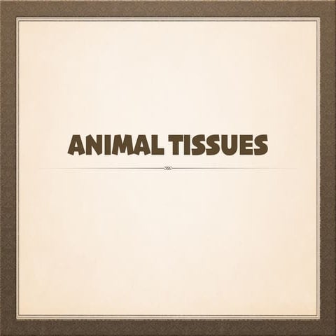 Animal tissues