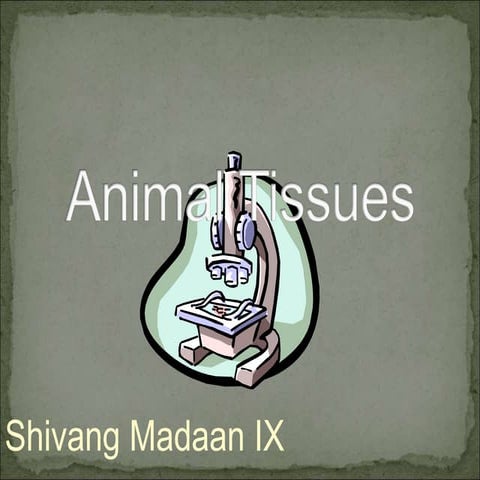 Animal tissues