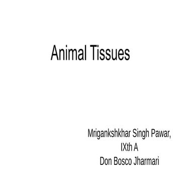 The PPT on Animal Tissues class Ninth .pptx