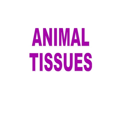 Animal tissues epithelial & connective