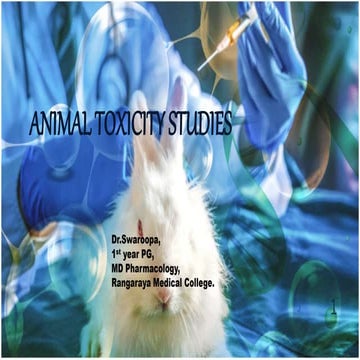 Animal toxicity studies