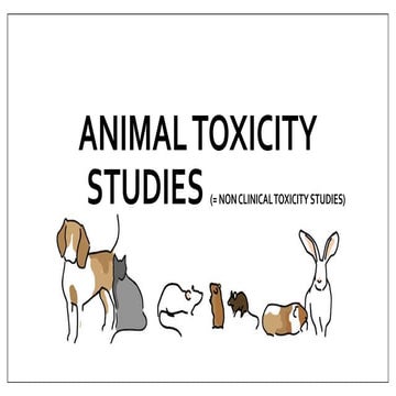 animal toxicity studies.pptx