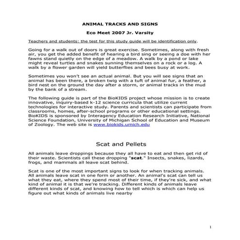 Animal tracking | PPT