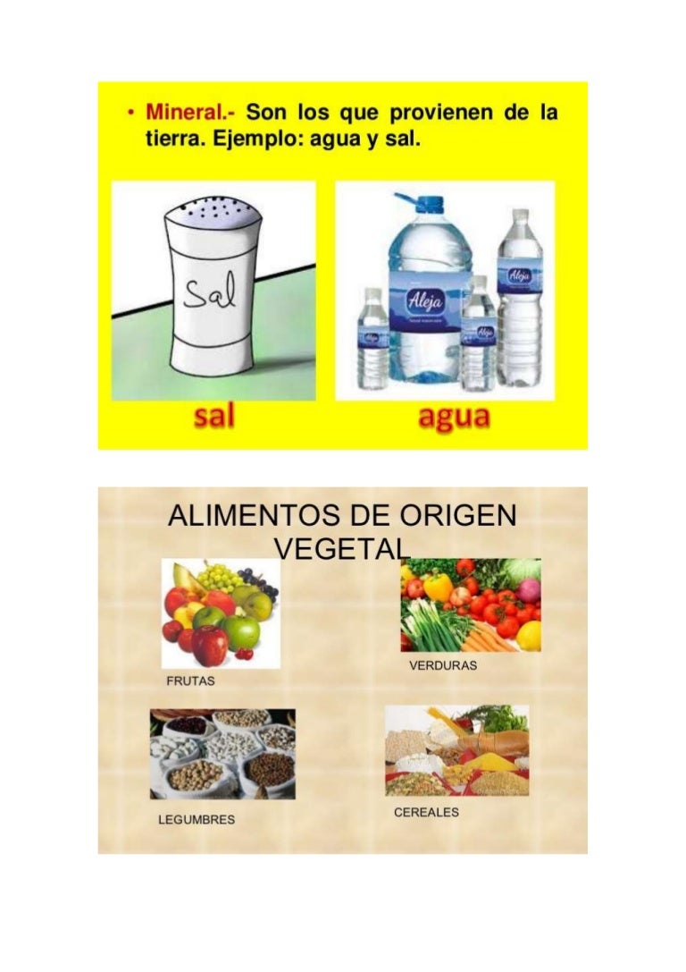 Animal, vegetal y mineral