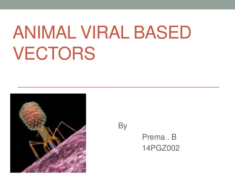 Animal viral based vectors