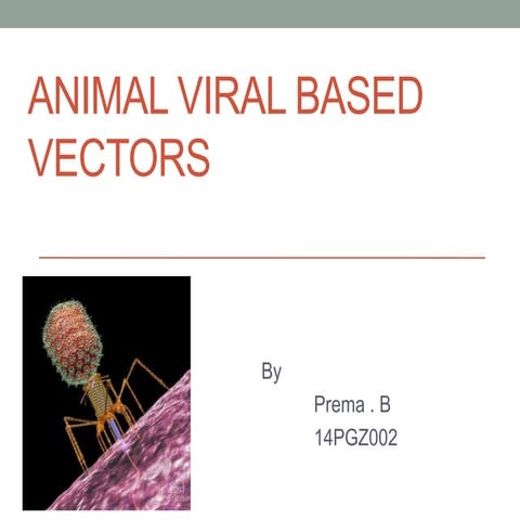 Animal viral based vectors