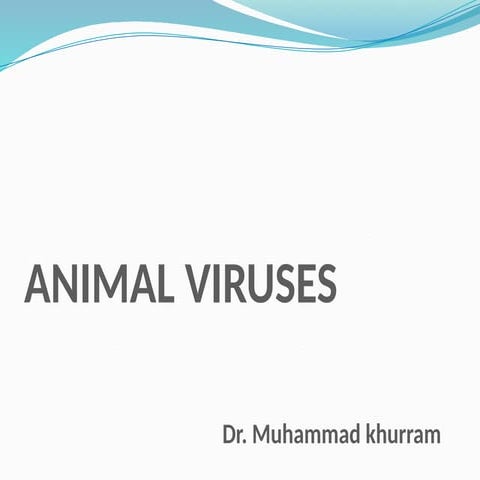 Animal viruses | PPTX