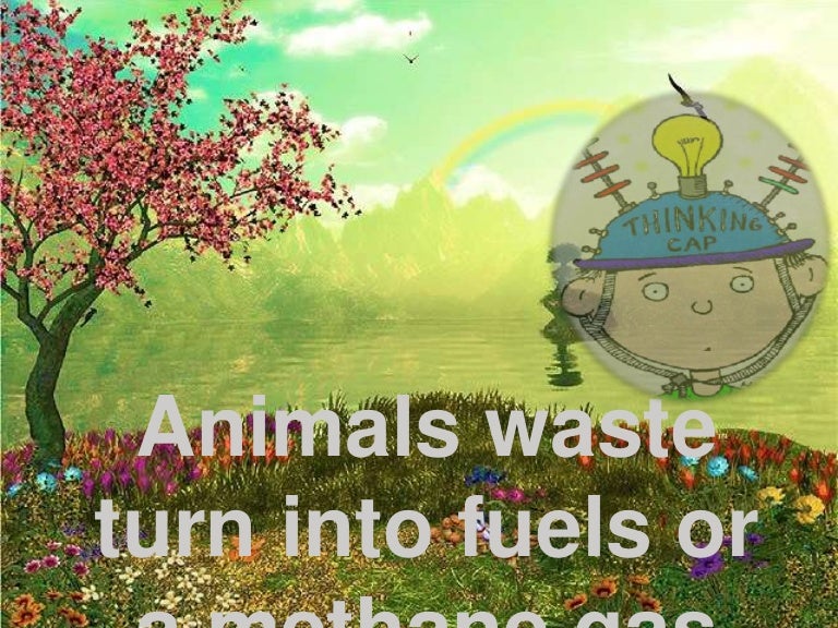 Animal waste into methane gas&biofuels