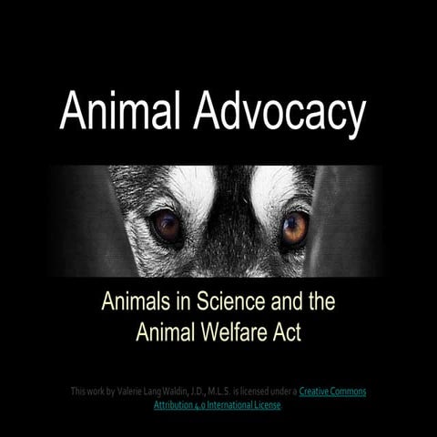 Animal Welfare Act and Animals in Science