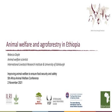 Animal welfare and agroforestry in Ethiopia