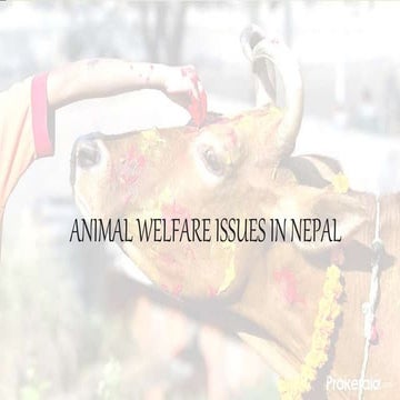 ANIMAL WELFARE ISSUES IN NEPAL.pptx