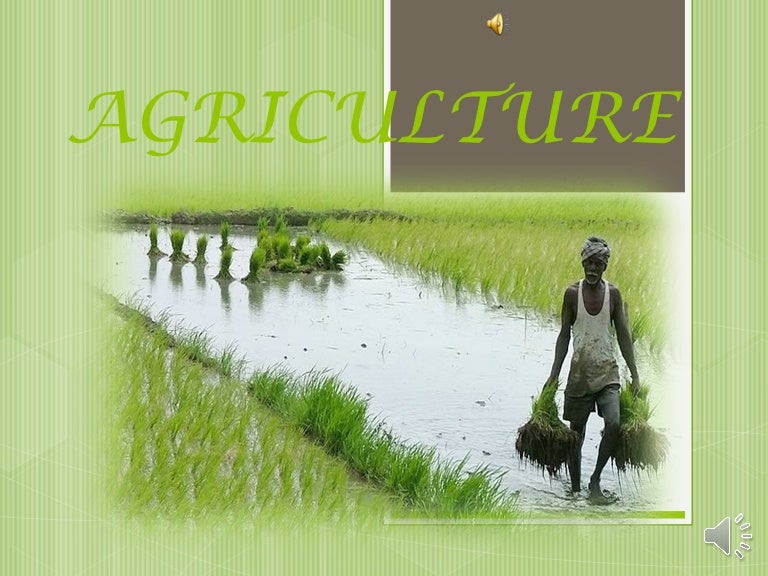 agriculture ppt
