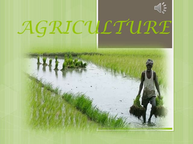 Strategies for Agriculture in the 12th Plan (2012 - 2017)