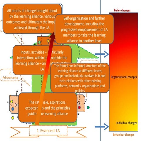 Animated Learning Alliance framework