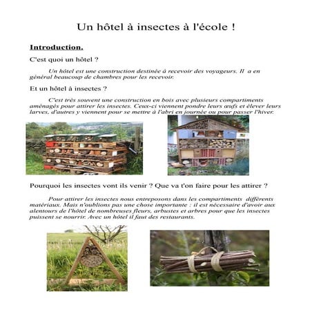 les-h-tels-insectes-doc