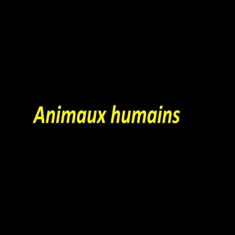 Animaux humains