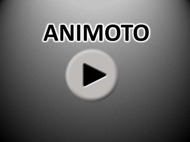 Animoto