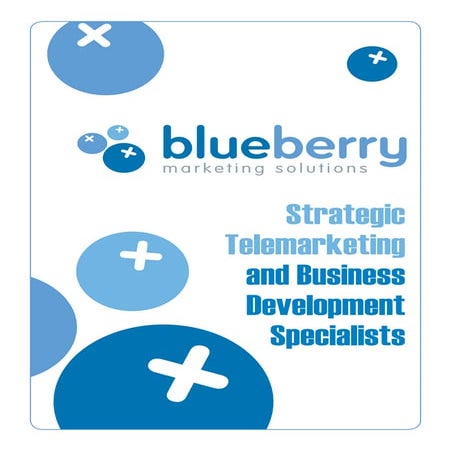 An Introduction To Blueberry Marketing Solutions
