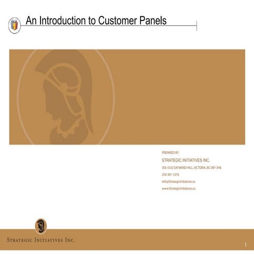 An introduction to customer panels