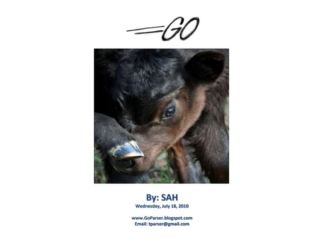 An introduction to go programming l...