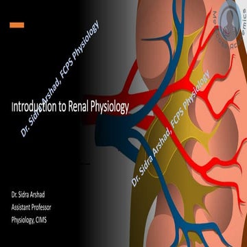 Introduction to Renal Physiology - Functional Anatomy and Urine Formation