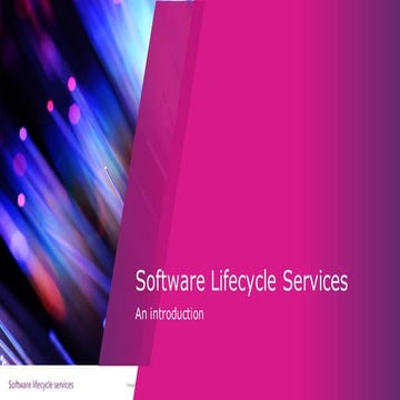 Introduction to Software Lifecycle Services 2018