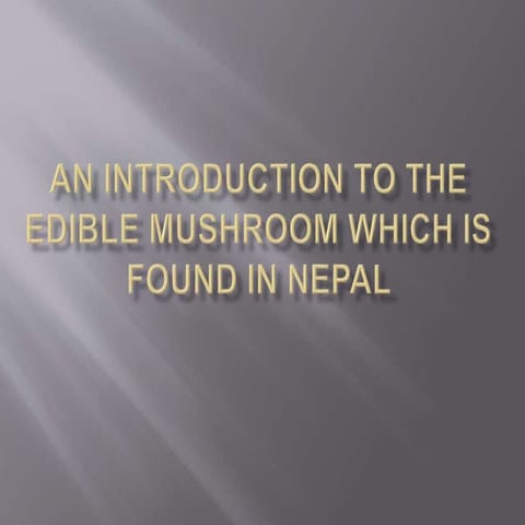 An introduction to the edible mushroom which is found in nepal