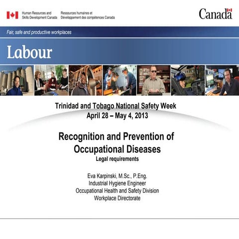 An introduction to the list of occupational diseases   ms eva karpinski