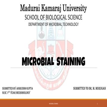 bacterial staining ppt