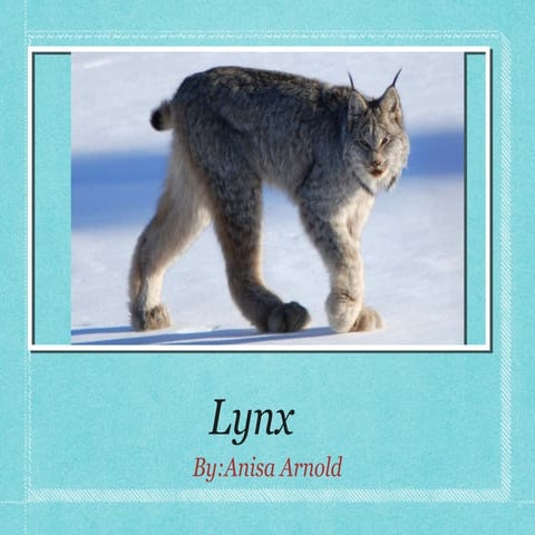 The Lynx | PPTX