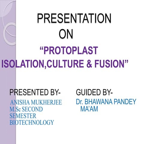 Protoplast isolation,culture & fusion