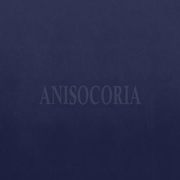 Physiological and Pathological anisocoria.pptx